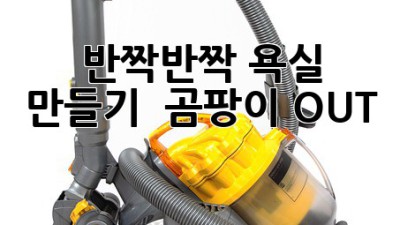 🛁 반짝반짝 욕실 만들기 ✨ 곰팡이 OUT! 🚫