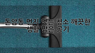 돈암동 먼지 없는 청소: 깨끗한 생활, 맑은 공기
